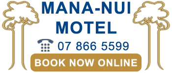 Mana Nui Motel